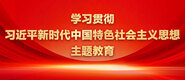 男生插女生下面嗯啊网站学习贯彻习近平新时代中国特色社会主义思想主题教育_fororder_ad-371X160(2)